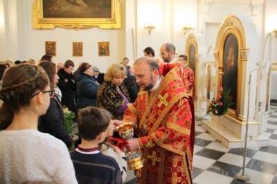 Відкриття Ювілею 400-ліття Василіянського Чину у Провінції Покрови в Польщі _16